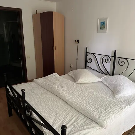 Pensiunea Ego 3* 布朗