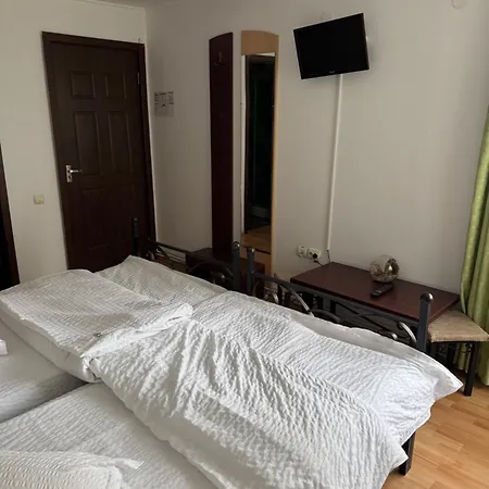 Pensiunea Ego 招待所 3*